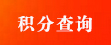 积分查询